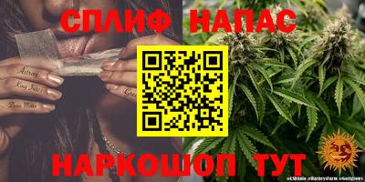 спайс Малгобек