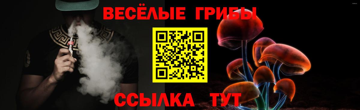 Улан-Удэ  Псилоцибиновые грибы GOLDEN TEACHER  Псилоцибиновые грибы Psilocybine cubensis  Вход с VPN 